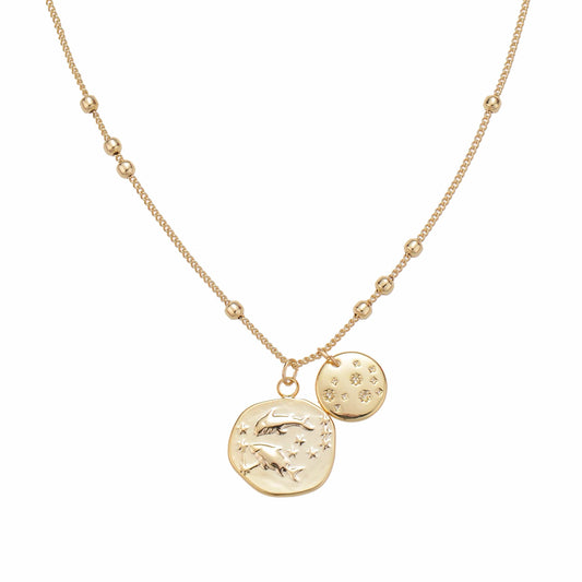 The Zodiac Disc
